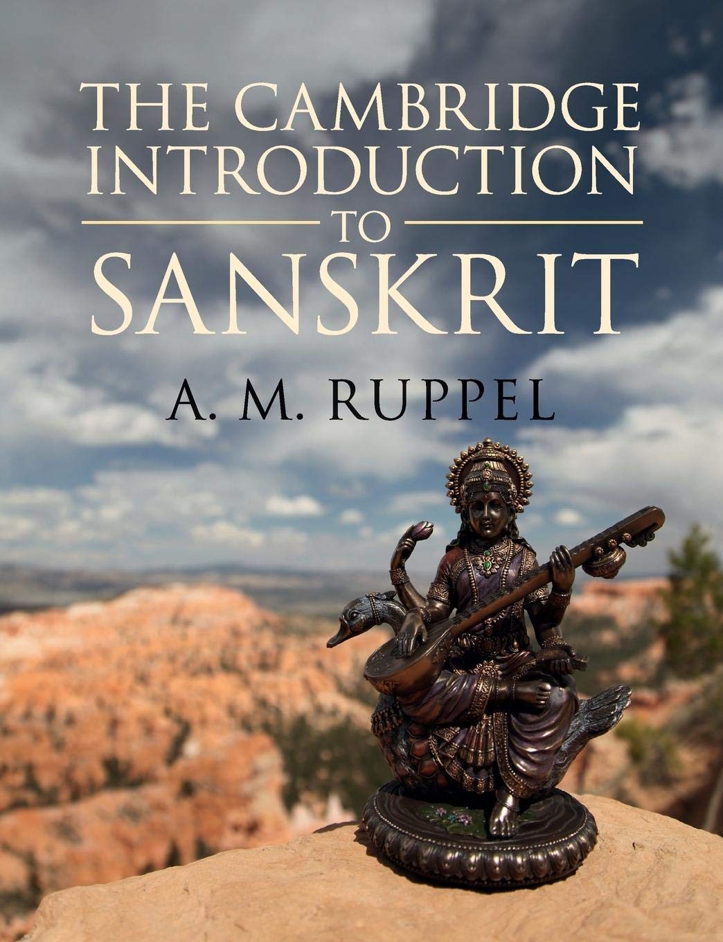 Antonia Ruppel’s The Cambridge Introduction to Sanskrit; on YouTube you can find Professor Meyer interviewing the author
